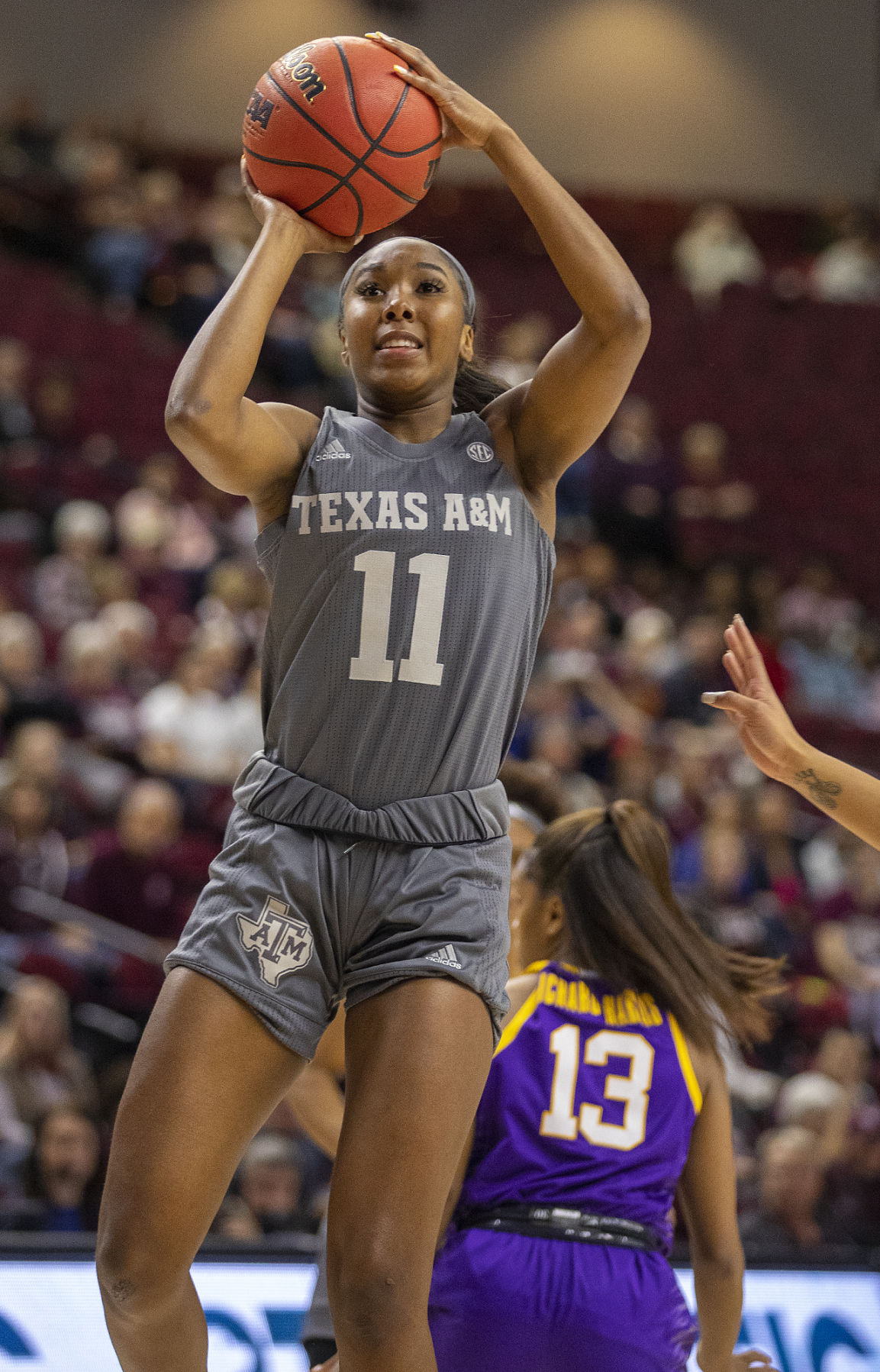 Texas A&M women's basketball vs LSU